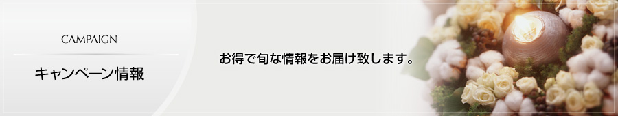 キャンペーン情報