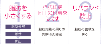 1.脂肪を小さくする　2.脂肪細胞同士の付着をほぐす　3.リバウド防止